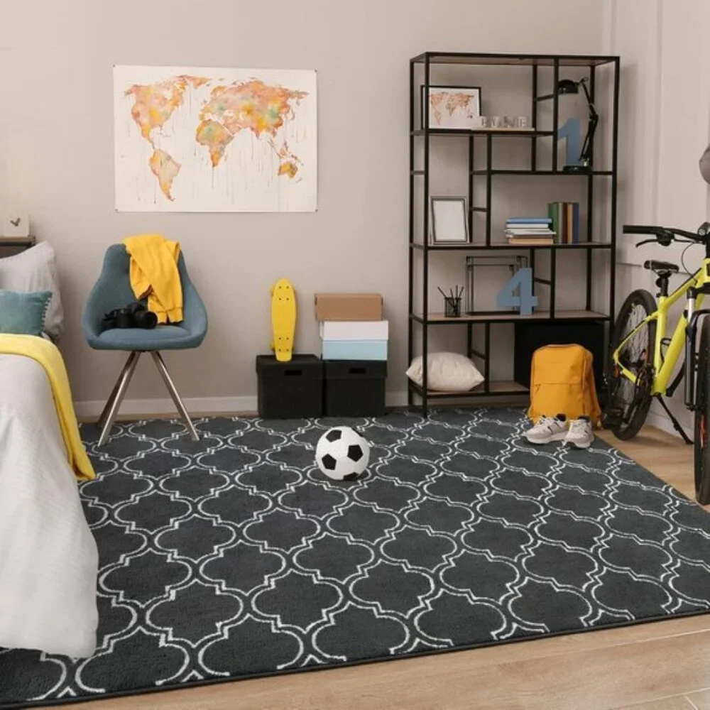 New 4x6 Shag Geometric Area Rug, Memory Foam, Fluffy Carpet for Home, Room Decor